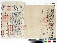 藏品(嘉慶十二年吳朝旺向郭宅立杜賣契（附契尾）)的圖片